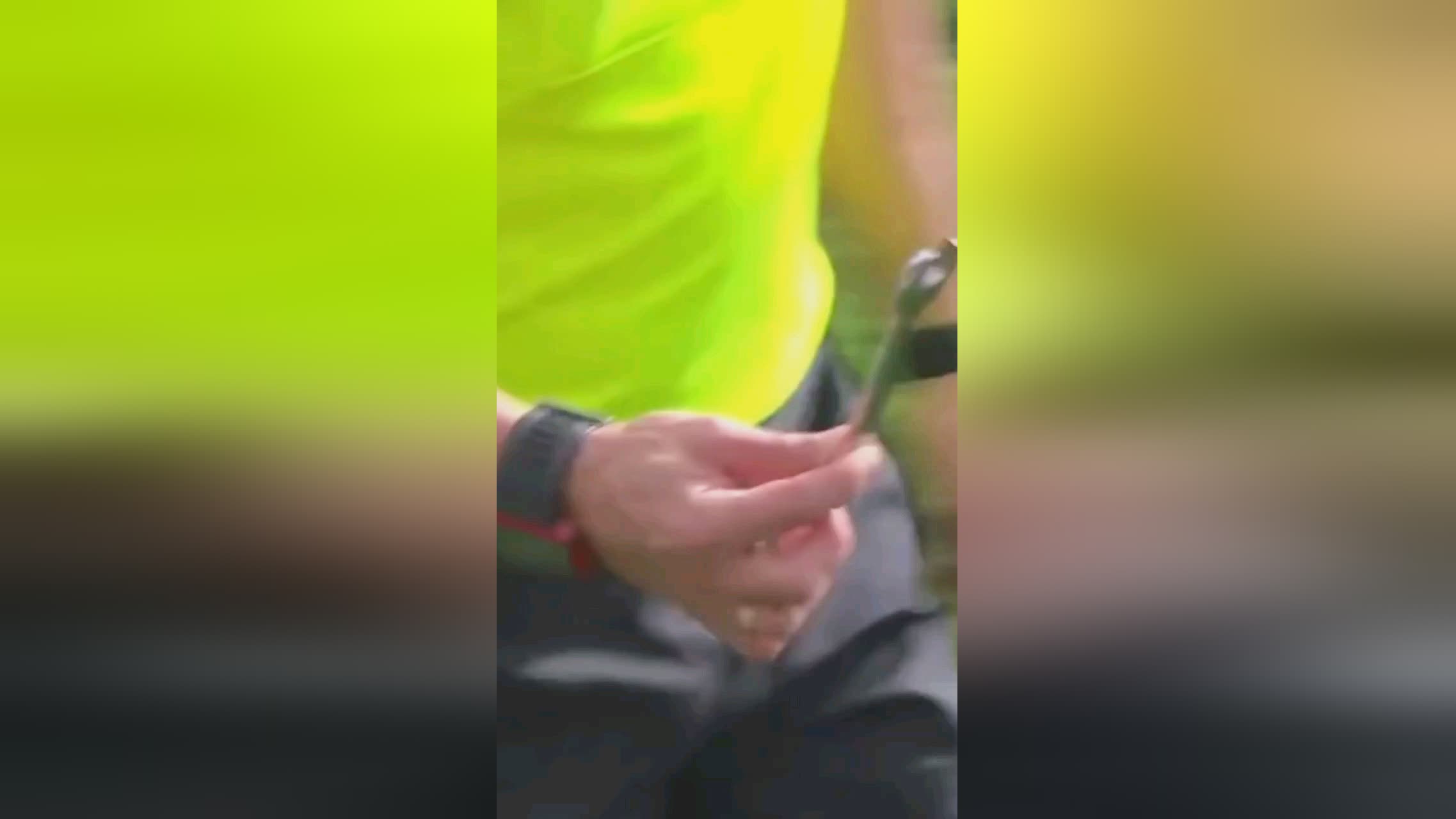 力他